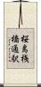 桜島桟橋通駅 Scroll
