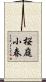 桜庭小春 Scroll
