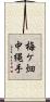 梅ケ畑中縄手 Scroll
