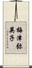 梅津弥英子 Scroll