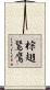 棕翅鵟鷹 Scroll