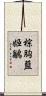 棕胸藍姬鶲 Scroll