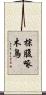 棕腹啄木鳥 Scroll
