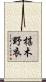 椹木野衣 Scroll