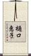 樋口恵子 Scroll