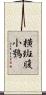 橫斑腹小鴞 Scroll