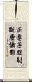 正電子照射斷層攝影 Scroll