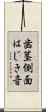 歯茎側面はじき音 Scroll