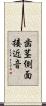歯茎側面接近音 Scroll