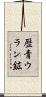 歴青ウラン鉱 Scroll