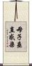 母子垂直感染 Scroll
