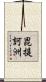 毘提訶洲 Scroll