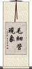 毛細管現象 Scroll