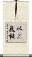 水上飛板 Scroll