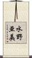 水野亜美 Scroll