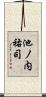 池ノ内祐司 Scroll