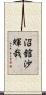 沼舘沙輝哉 Scroll