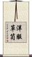 洋服箪笥 Scroll