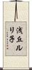 浅丘ルリ子 Scroll