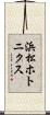 浜松ホトニクス Scroll
