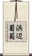 浜辺葡萄 Scroll