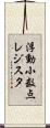 浮動小数点レジスタ Scroll