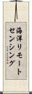 海洋リモートセンシング Scroll