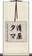 清原タマ Scroll