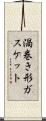 渦巻き形ガスケット Scroll