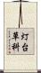 灯台草科 Scroll