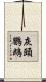 灰頭鸚鵡 Scroll
