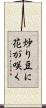 炒り豆に花が咲く Scroll