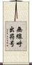無線呼出符号 Scroll