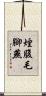 煙腹毛腳燕 Scroll