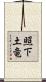 照下土竜 Scroll
