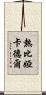 熱比婭·卡德爾 Scroll