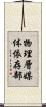 物理層媒体依存部 Scroll