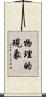 物理的現象 Scroll