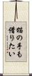 猫の手も借りたい Scroll