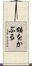 猫をかぶる Scroll
