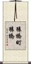 猿橋町猿橋 Scroll