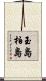 玉島柏島 Scroll