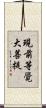 現前等覺大菩提 Scroll