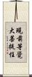 現前等覺大菩提住 Scroll