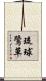 琉球鷺草 Scroll