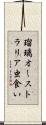 瑠璃オーストラリア虫食い Scroll