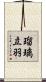 瑠璃立羽 Scroll