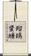 瑠璃蜚蠊 Scroll