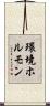 環境ホルモン Scroll