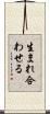 生まれ合わせる Scroll